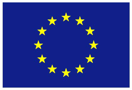 Bandera UE/EU Flag